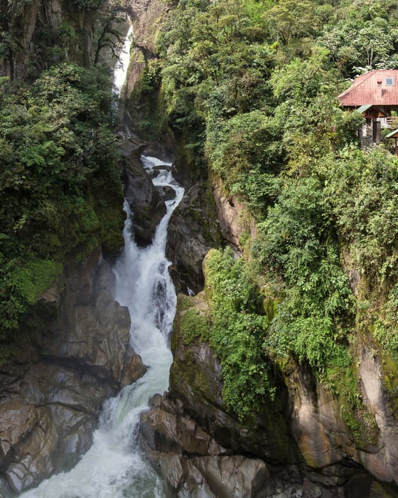 Waterfall and hanging bridge in the jungle