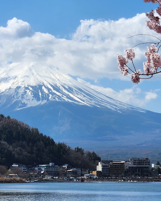 Snow-capped mountain with cherry blossoms