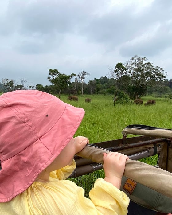 Toddler safari