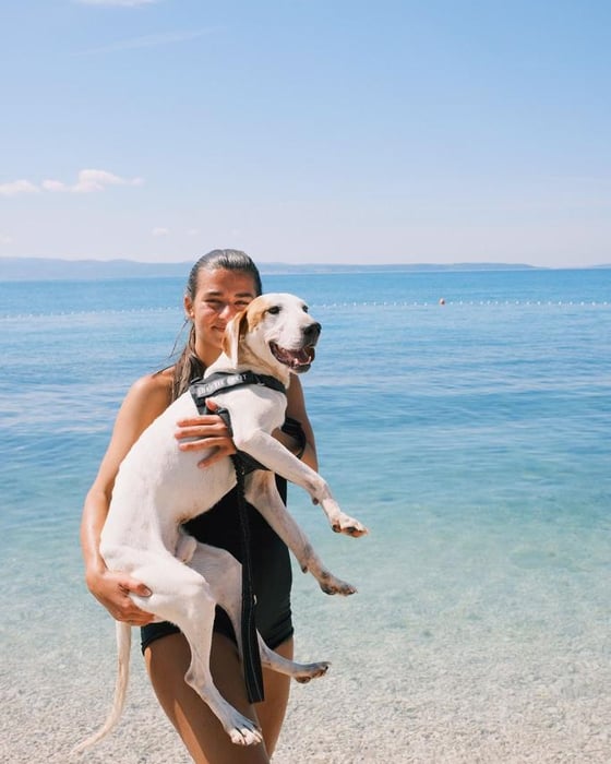 Animal care project Croatia