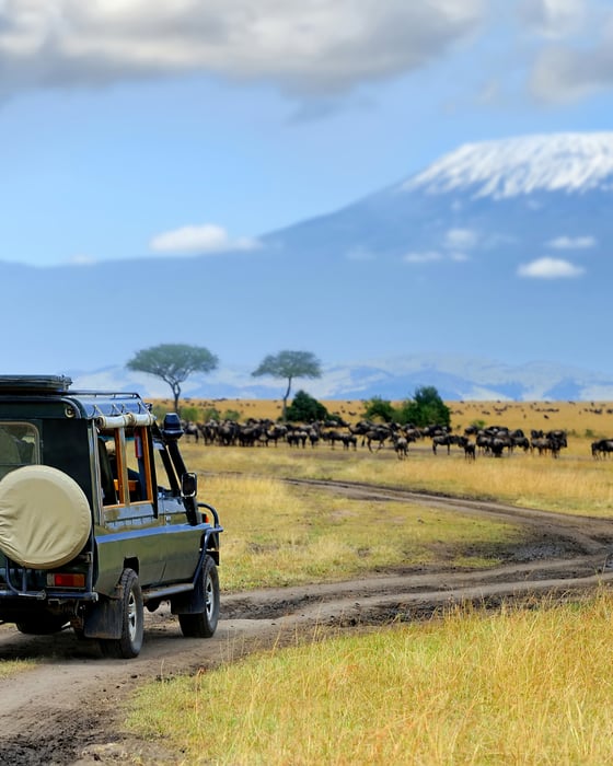 Masai Mara, Kenia