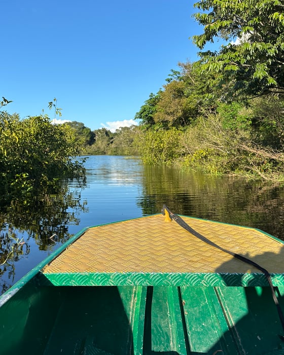 Explore the Amazon