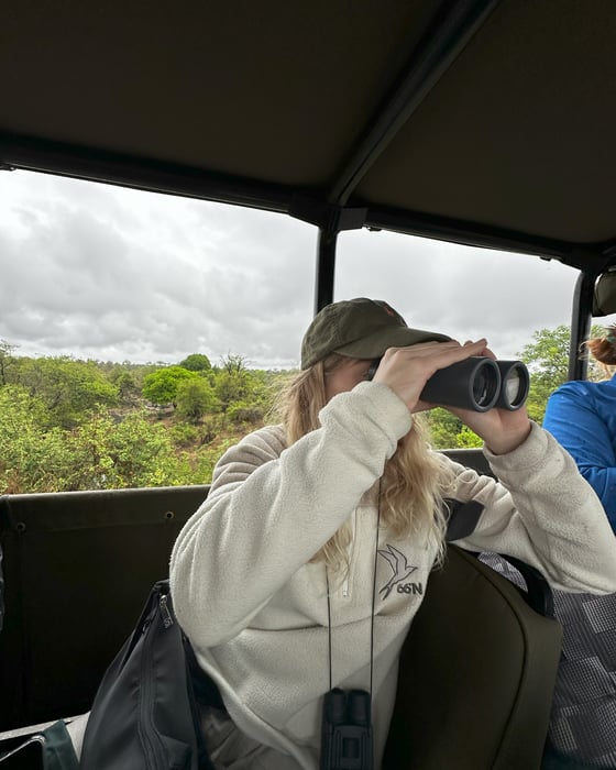 Game drive in South Africa