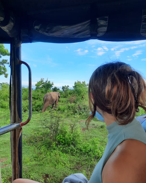Tag along on  safari our in Sri Lanka. 