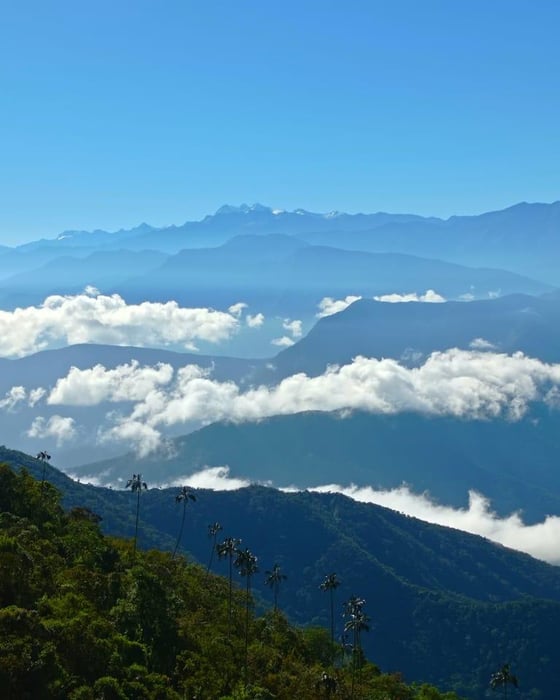 Vandring i Colombia