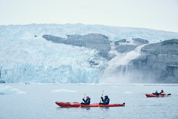 Kajakker i Icy Bay, Alaska