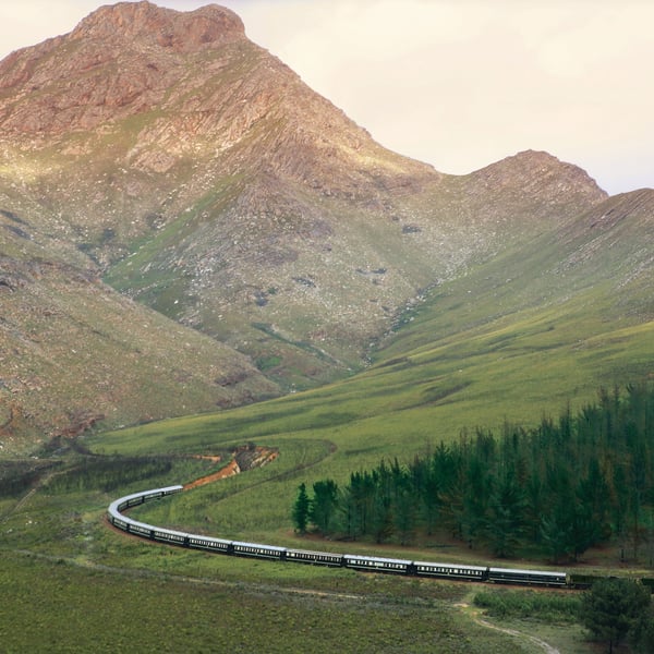 Kom tæt på Afrikas landskab med Rovos Rail
