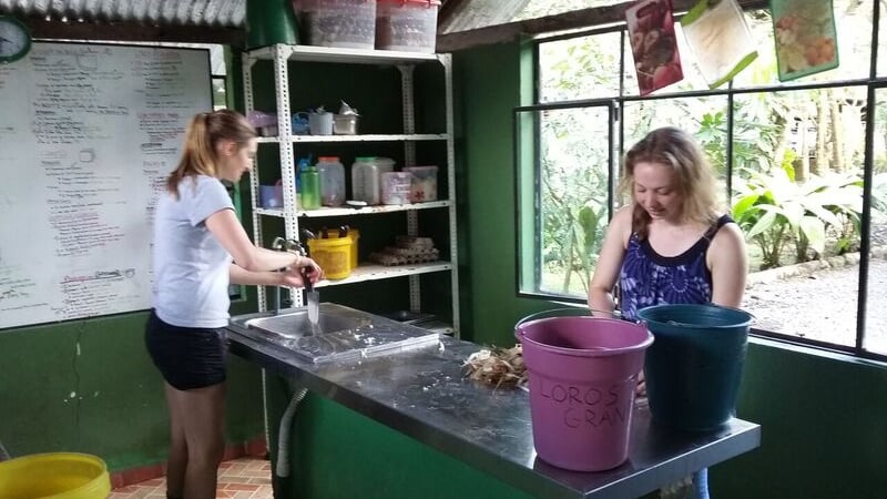 Animal rescue Centre.