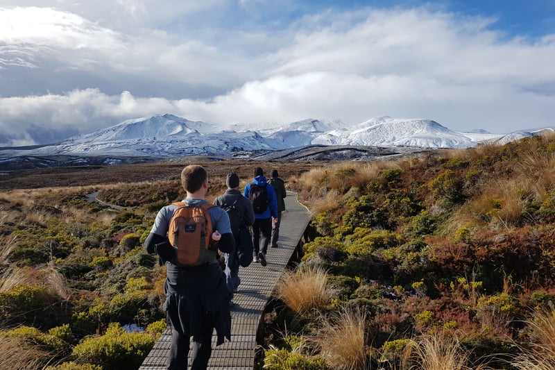 Adventurers hiking through mountain landscapes
