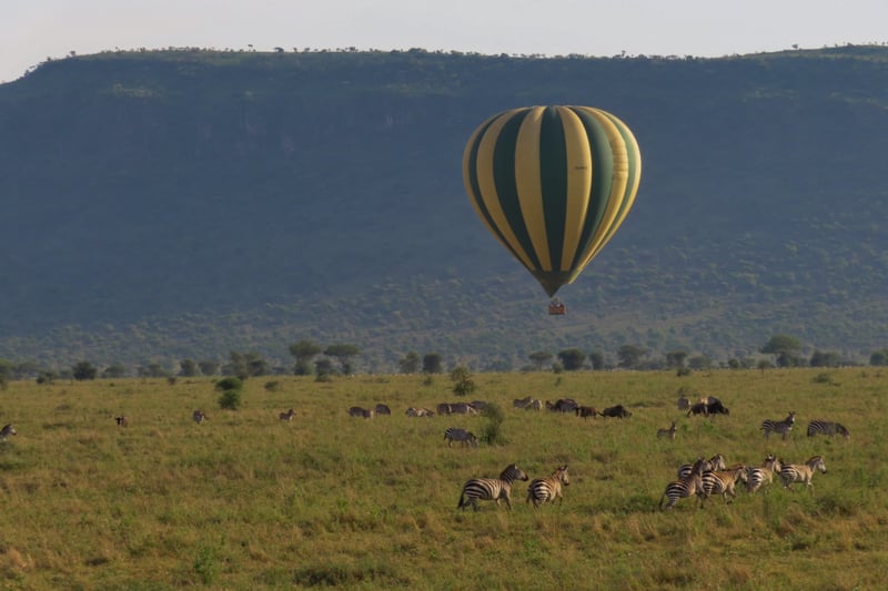 Tanzania safari