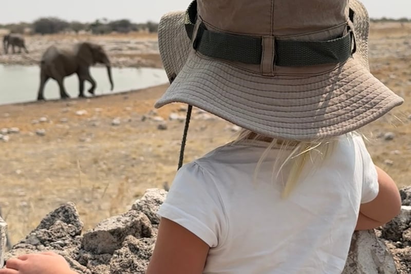 Safari i Tanzania & sol på Zanzibar