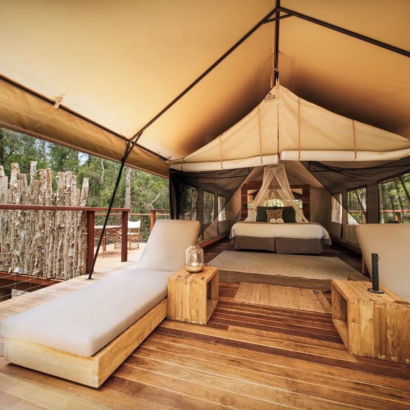 Paperbark Camp