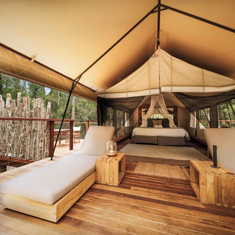 Paperbark Camp