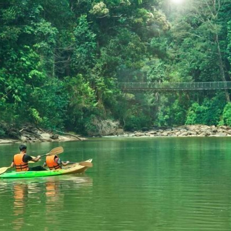 Rompin Rainforest Lodge