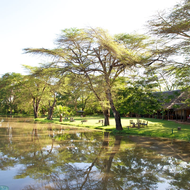 Voyager Ziwani Camp