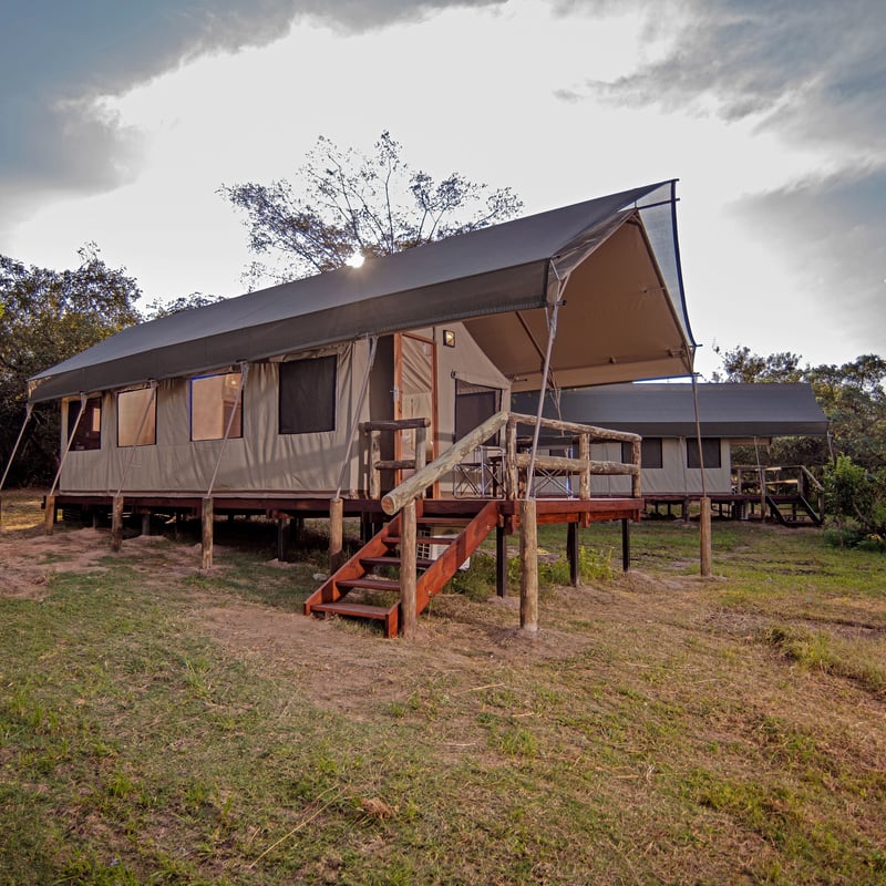Standard safari telt på Nkambeni Safari Camp