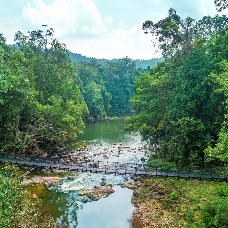 Rompin Rainforest Lodge