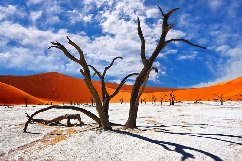 Namibia kør selv ferie med safari i Etosha