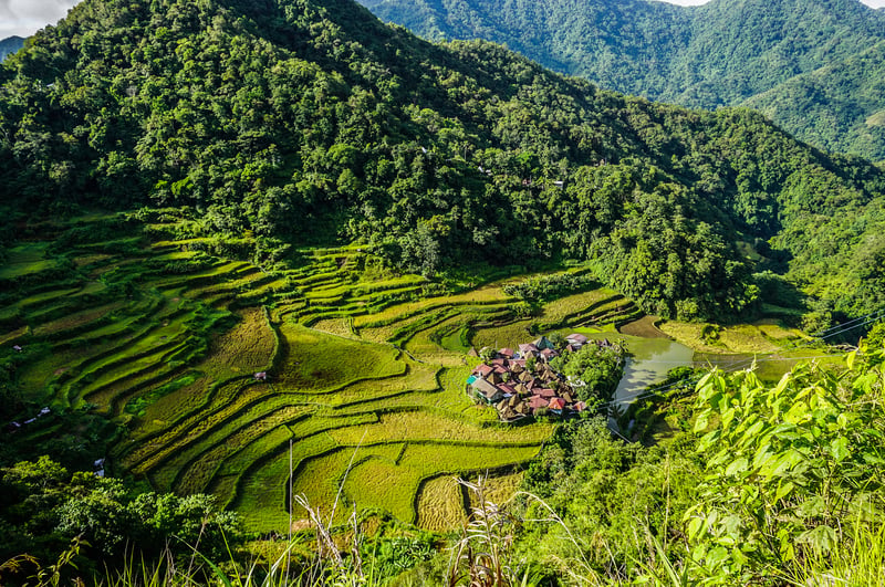 Risterrasser i Banaue, Filippinerne