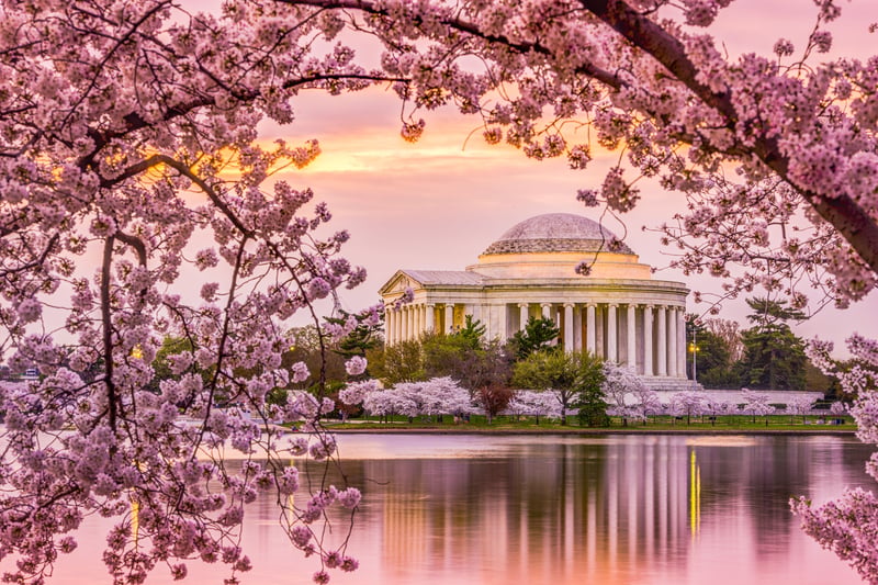 Washington DC, USA