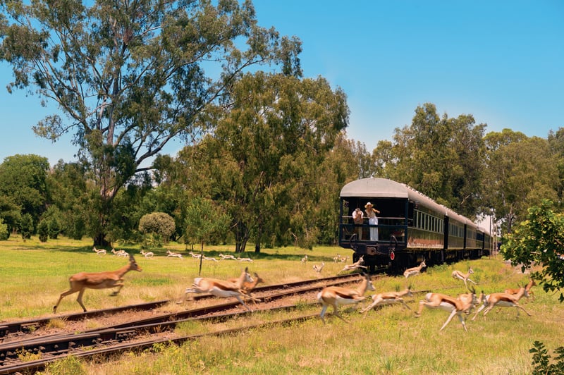 Rovos rail