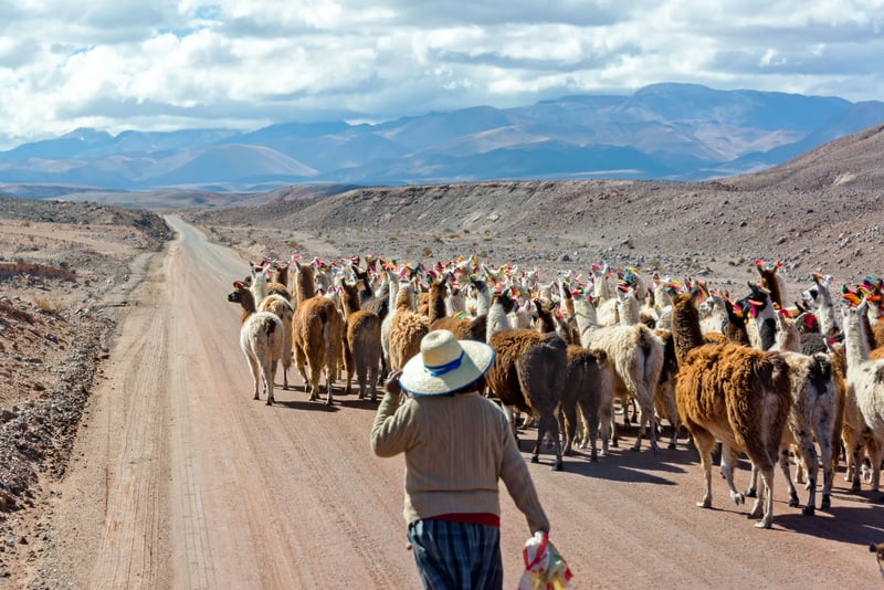 San Pedro de Atacama
