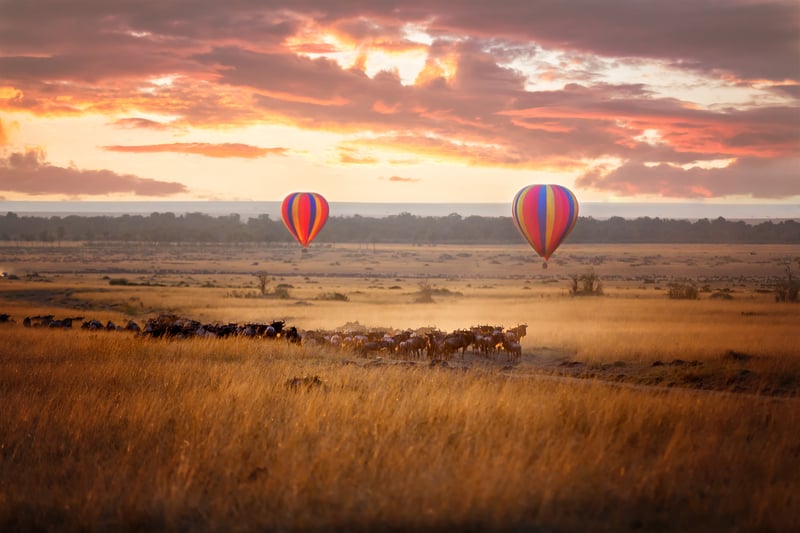 Luftballoner og gnuer i Masai Mara