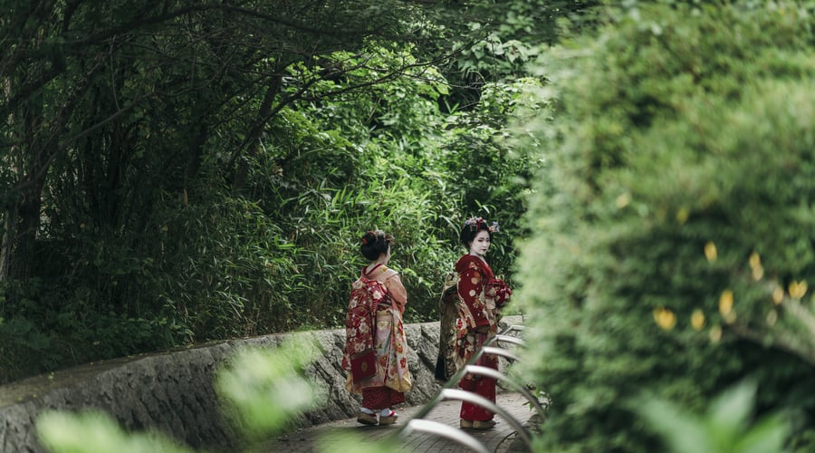 Geishaer i bambusskog i Japan
