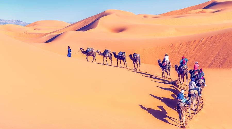 Sahara trail
