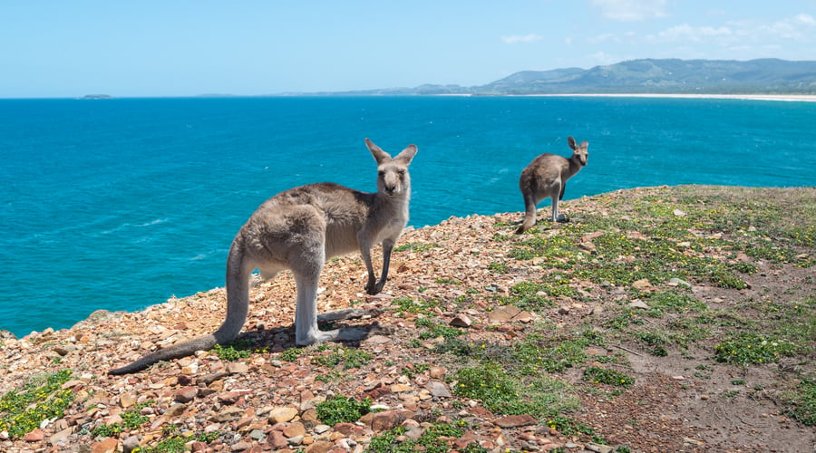 Coffs Harbour i Australien