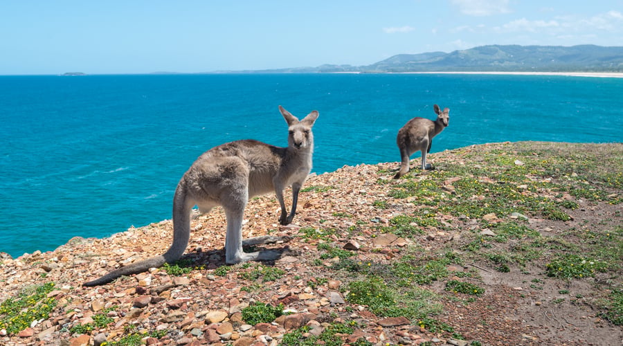 Coffs Harbour i Australien