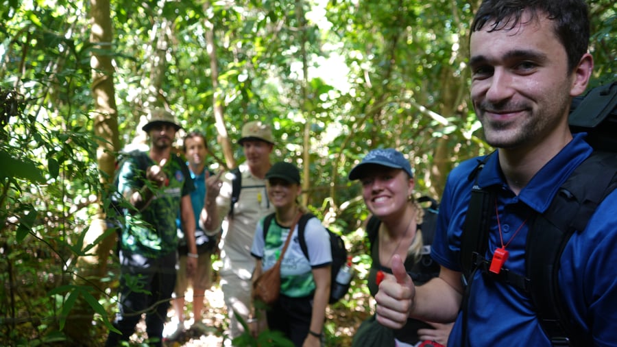 Hang out in the jungle in Borneo