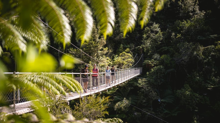 Vandring i Abel Tasman National Park