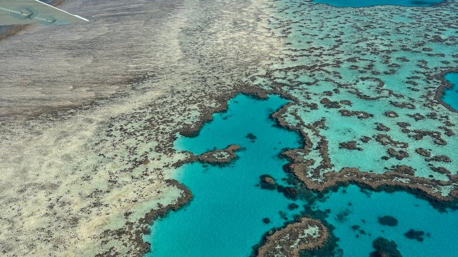 Great Barrier Reef van bovenaf