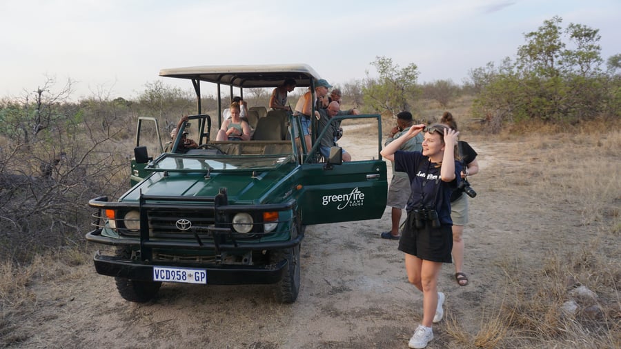 South African Safari