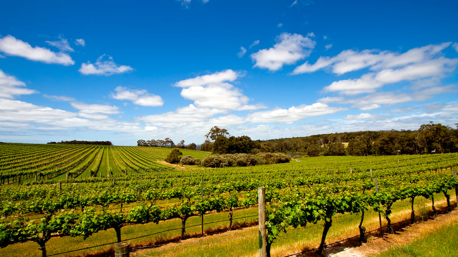 Vinlandskap i Margaret River