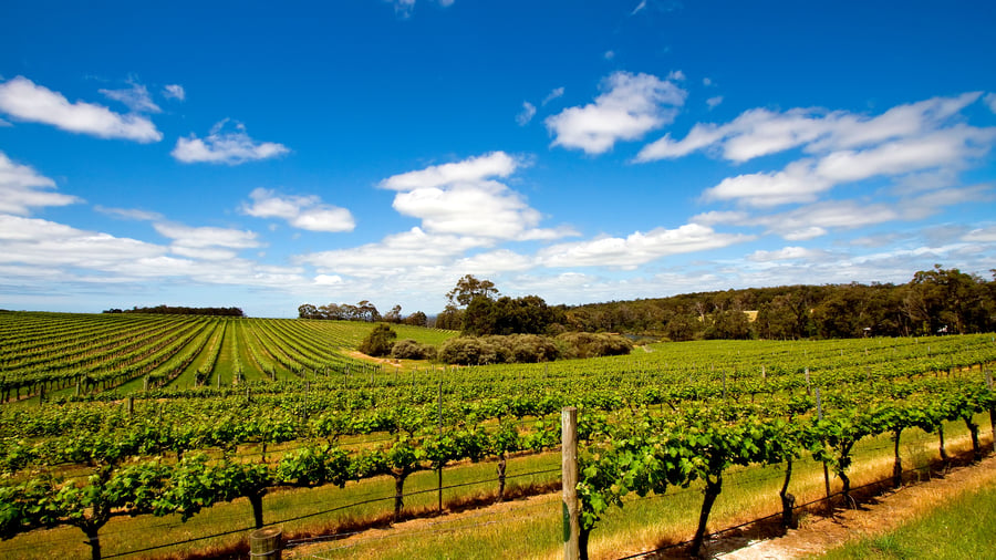 Vinlandskap i Margaret River