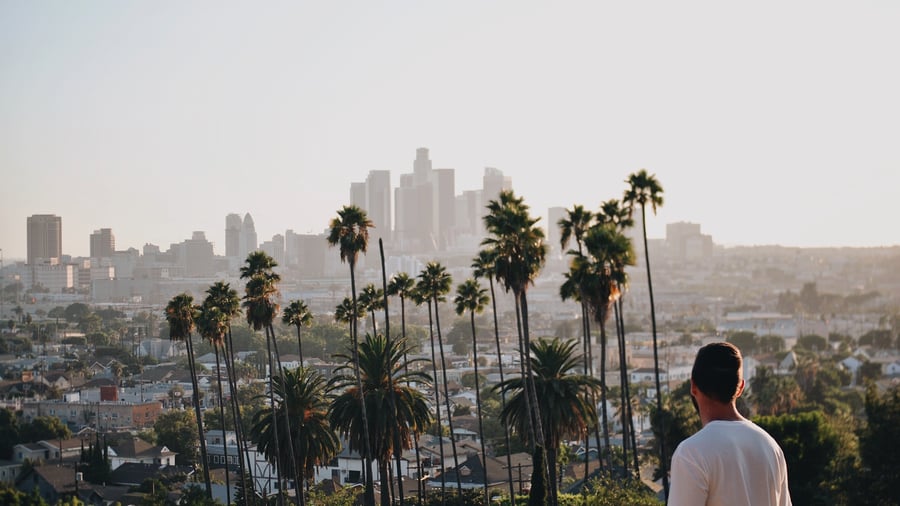 Los Angeles view