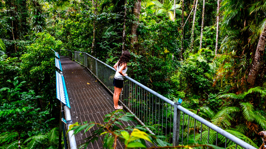 Girl exploring the rainforest