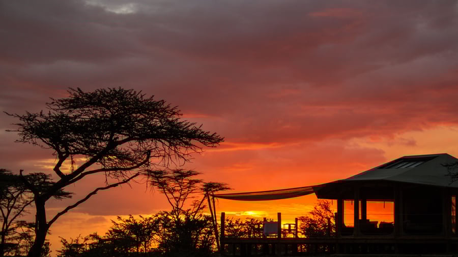 Saruni Leopard Hill i Masai Mara i Kenya