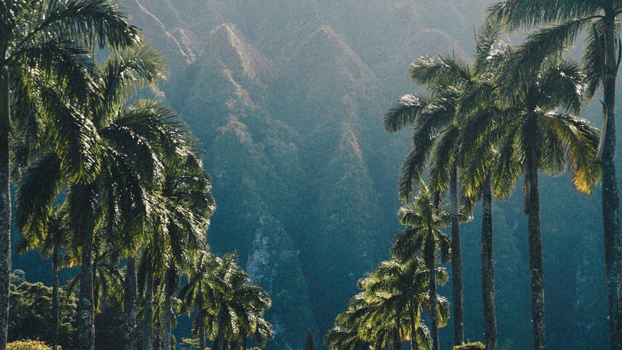 Ho'omaluhia Botanical Garden på Oahu