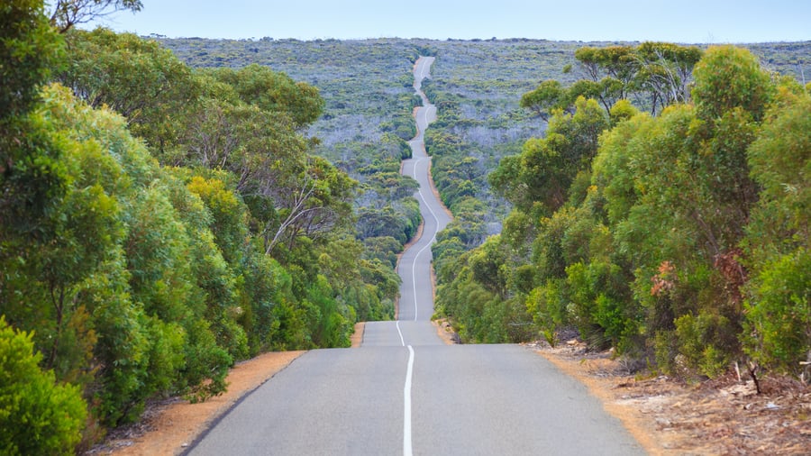 Håll utkik längs vägen på Kangaroo Island