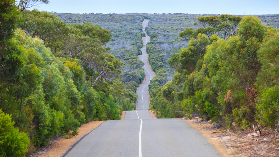 Hold øje langs vejene på Kangaroo Island