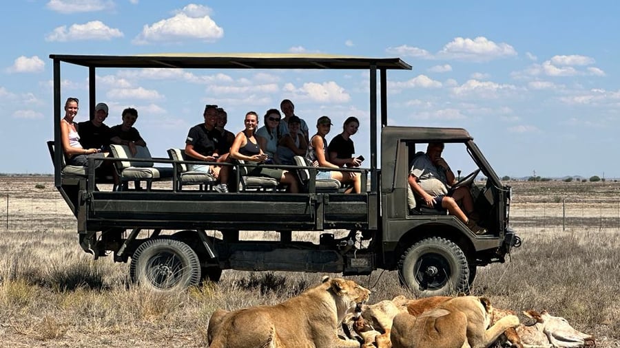 Safari in South Africa