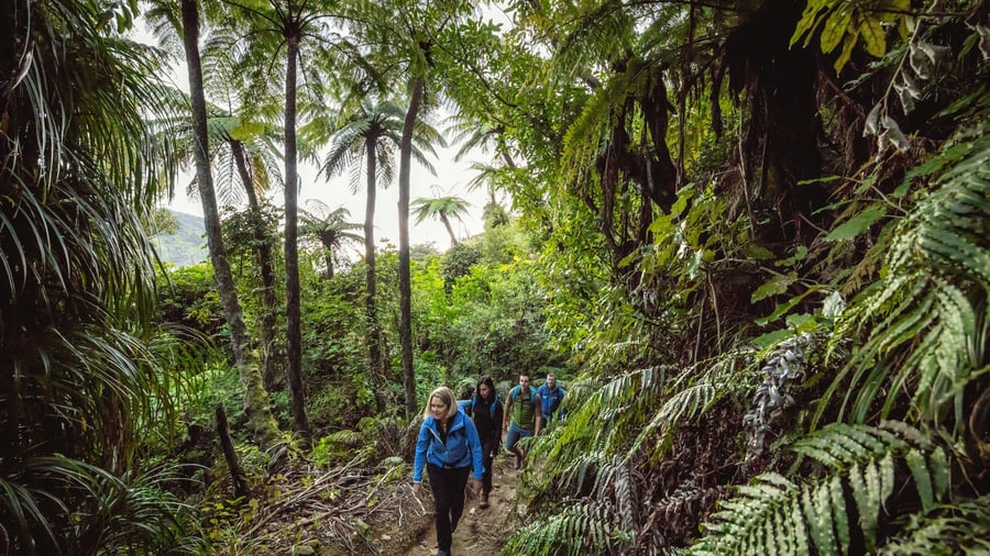 Vandring på Queen Charlotte Track