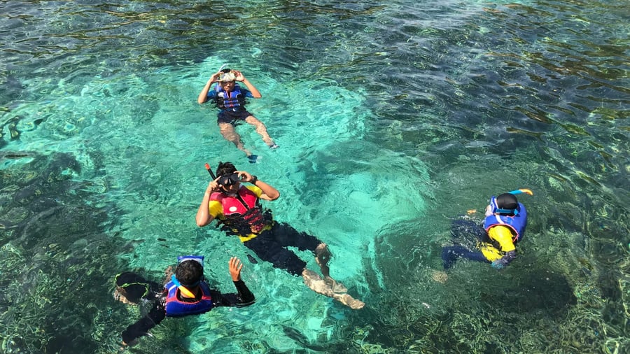 People snorkeling and enjoying the waters