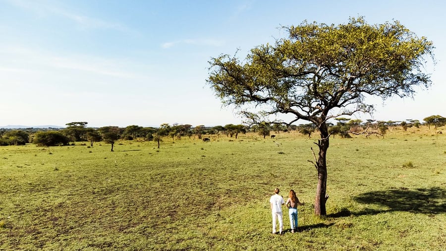Drömkombon Tanzania & Zanzibar. 