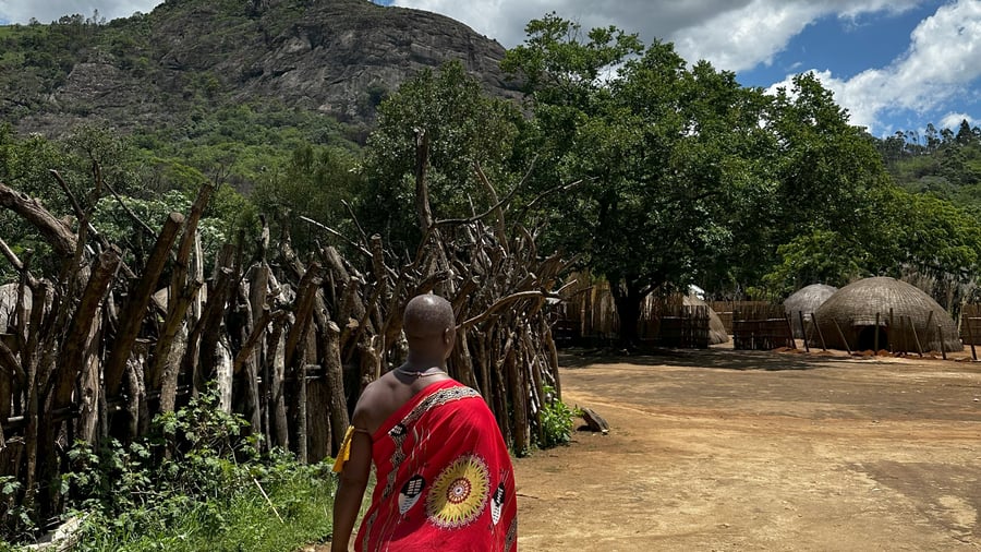Leave Mlilwane behind