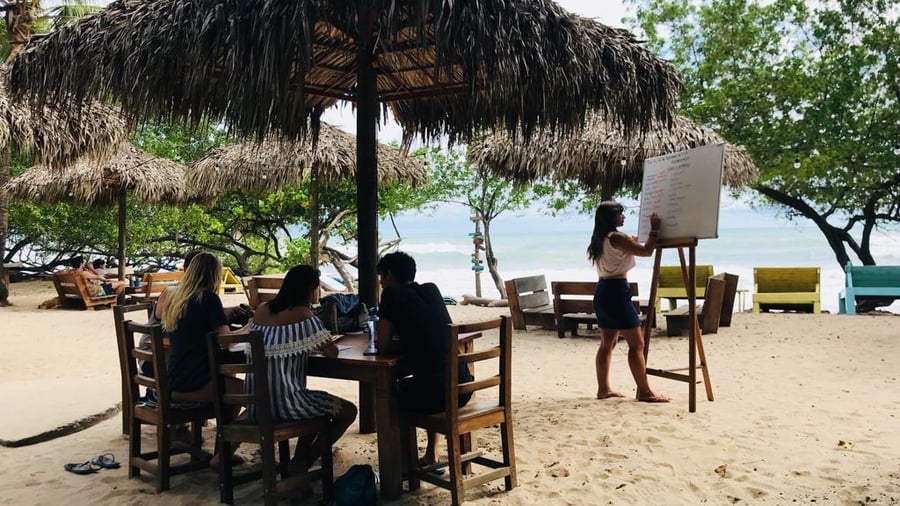 Studying at the beach