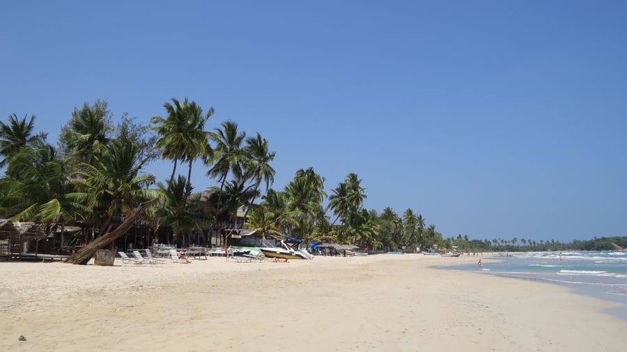 Palmeklædte sandstrande ved Trincomalee